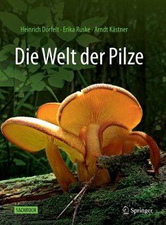Die Welt der Pilze - Dörfelt, Heinrich;Ruske, Erika;Kästner, Arndt