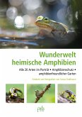 Wunderwelt heimische Amphibien (eBook, PDF)