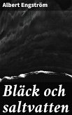 Bläck och saltvatten (eBook, ePUB)