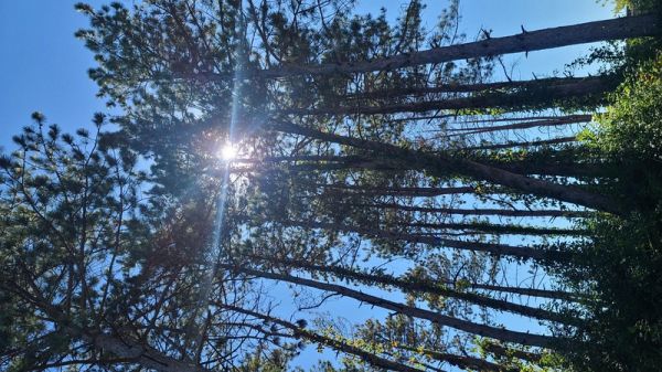 The Heart of The Earth (eBook, ePUB)