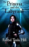 The Princess and the Labyrinth (eBook, ePUB)