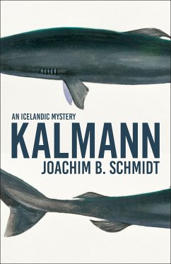 Kalmann (eBook, ePUB) - Schmidt, Joachim