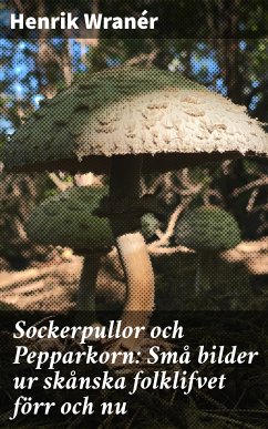 Sockerpullor och Pepparkorn: Små bilder ur skånska folklifvet förr och nu (eBook, ePUB) - Wranér, Henrik