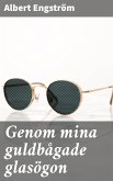 Genom mina guldbågade glasögon (eBook, ePUB)