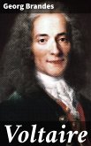 Voltaire (eBook, ePUB)