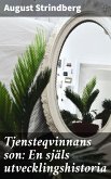 Tjensteqvinnans son: En själs utvecklingshistoria (eBook, ePUB)