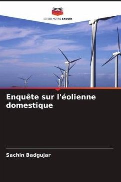 Cover Enquête sur l'éolienne domestique