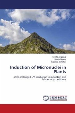 Induction of Micronuclei in Plants
