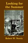 Looking for the Summer (eBook, ePUB) Looking for the Summer (eBook, ePUB)