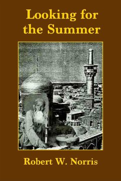 Cover Looking for the Summer (eBook, ePUB)