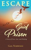 Escape from Grief Prison (eBook, ePUB)