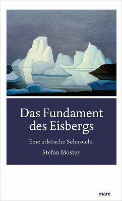 Das Fundament des Eisbergs - Moster, Stefan