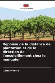 Réponse de la distance de plantation et de la direction de l'ensoleillement chez le manguier