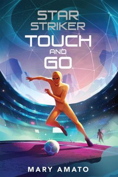 Touch and Go (eBook, ePUB) - Amato, Mary