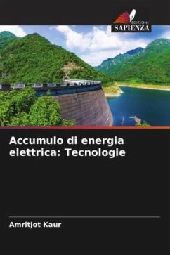 Accumulo di energia elettrica: Tecnologie - Kaur, Amritjot