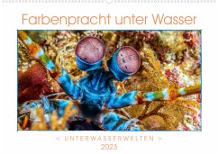 Cover Farbenpracht unter Wasser (Wandkalender 2023 DIN A2 quer)