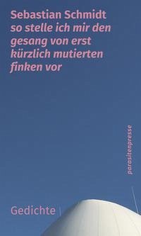 so stelle ich mir den gesang von erst kürzlich mutierten finken vor - Schmidt, Sebastian