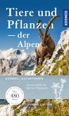 Tiere & Pflanzen der Alpen (eBook, PDF)