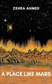 A Place Like Mars (eBook, ePUB)