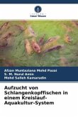 Aufzucht von Schlangenkopffischen in einem Kreislauf-Aquakultur-System