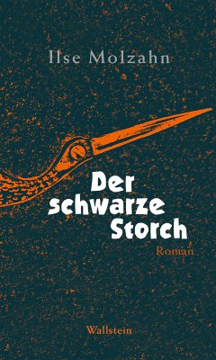 Der schwarze Storch (eBook, ePUB) - Molzahn, Ilse