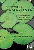 A Gestão da Amazônia (eBook, ePUB)