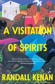 A Visitation of Spirits (eBook, ePUB)
