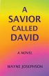 A Savior Called David - Bild 1