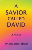 A Savior Called David