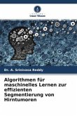 Algorithmen für maschinelles Lernen zur effizienten Segmentierung von Hirntumoren