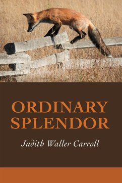 Ordinary Splendor - Carroll, Judith Waller