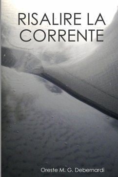 Risalire la Corrente - Debernardi, Oreste M. G.