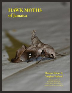 Hawk Moths of Jamaica