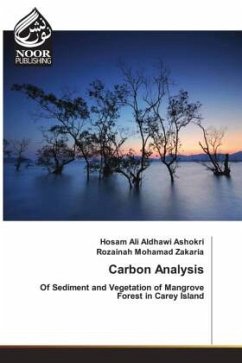 Carbon Analysis - Ali Aldhawi Ashokri, Hosam;Mohamad Zakaria, Rozainah