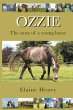 Ozzie - The story of a young horse - Bild 1