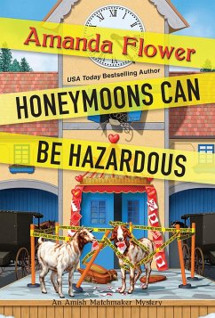 Honeymoons Can Be Hazardous (eBook, ePUB) - Flower, Amanda
