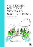 &quote;Wie komm' ich denn von Baad nach Velden?&quote; Eine Österreich-Buntfahrt mit Johannes Leopold Mayer