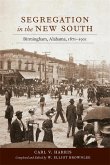 Segregation in the New South (eBook, ePUB)