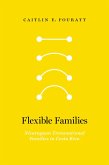 Flexible Families (eBook, ePUB)