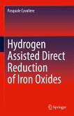 Hydrogen Assisted Direct Reduction of Iron Oxides (eBook, PDF)