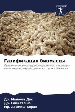 Cover Gazifikaciq biomassy