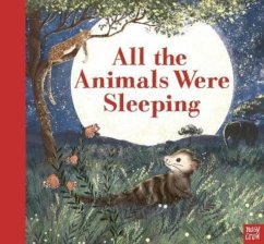 All the Animals Were Sleeping - Welsh, Clare Helen