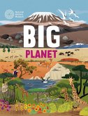 Big Planet Big Planet