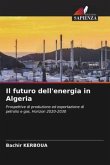 Il futuro dell'energia in Algeria