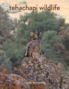 Tehachapi Wildlife - Weinstein, Randy