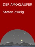 Der Amokläufer (eBook, ePUB)