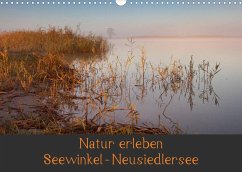 Natur erleben Seewinkel-Neusiedlersee (Wandkalender 2023 DIN A3 quer) - Schörkhuber, Johann