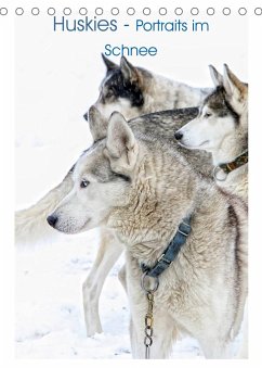 Huskies - Portraits im Schnee (Tischkalender 2023 DIN A5 hoch)