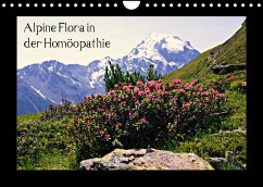 Alpine Flora in der Homöopathie (Wandkalender 2023 DIN A4 quer) - Schimon, Claudia