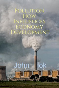 Pollution How Influences Economy Development - Lok, John